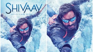 Shivaay Official Trailer Launch - Ajay Devgn - Sayyeshaa