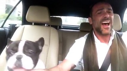 Il bulldog che canta con il suo padrone