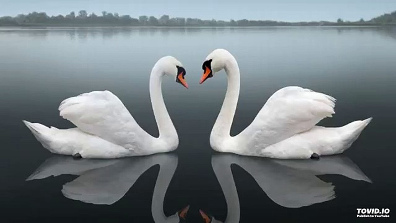 Ehsan Sehgal Prose Poem-The Waves Of Waiting