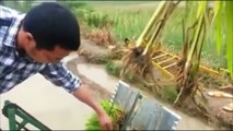 amazing rice crop  planting machines  awesome agriculture modern farm equipment compilation 2016