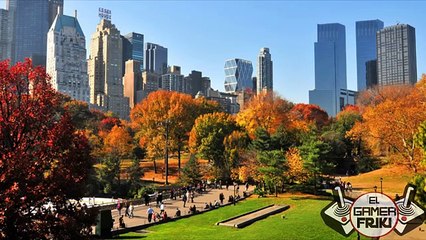 Top 5 Accidentes Causados Por Pokemon GO