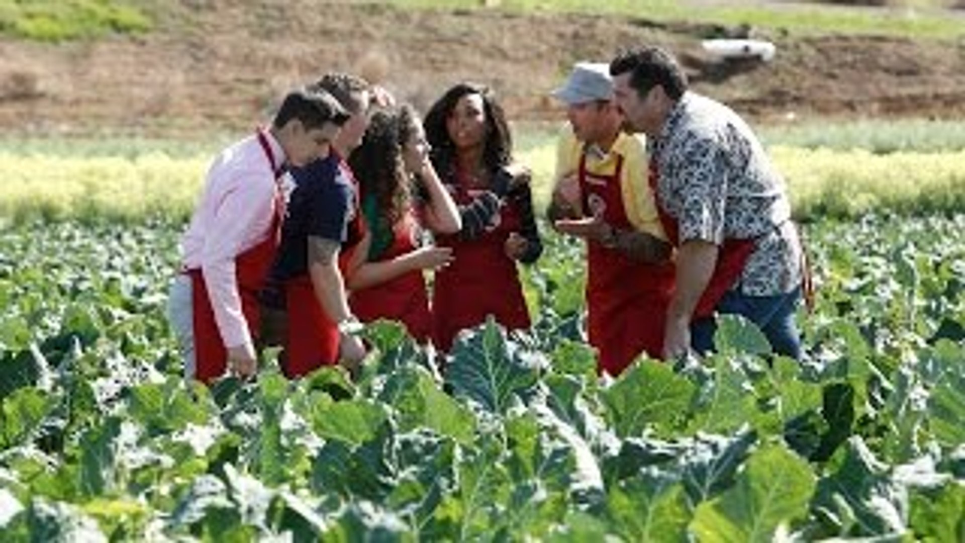 Masterchef australia season online 7 episode 1 dailymotion