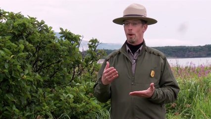 Grizzly - Interview Roy Wood VO