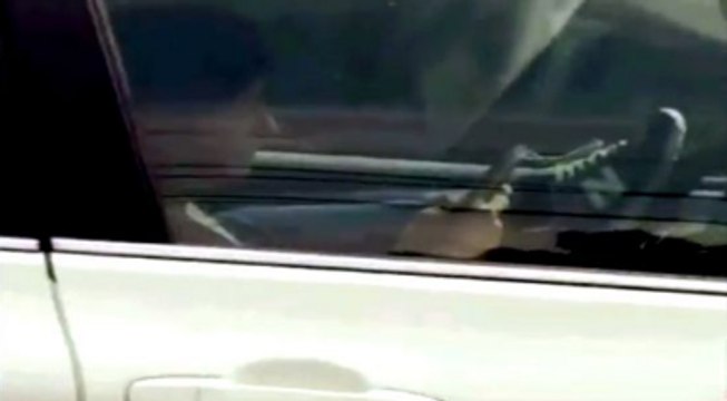 Oh My! Woman Is Caught Texting With Her Hands While Driving With Her Feet