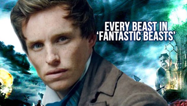 All Of The Beasts in Fantastic Beasts And Where To Find Them