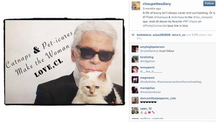 Inconvenient Interviews w Risa  Pilates with Dita Von Teese   HelloGiggles