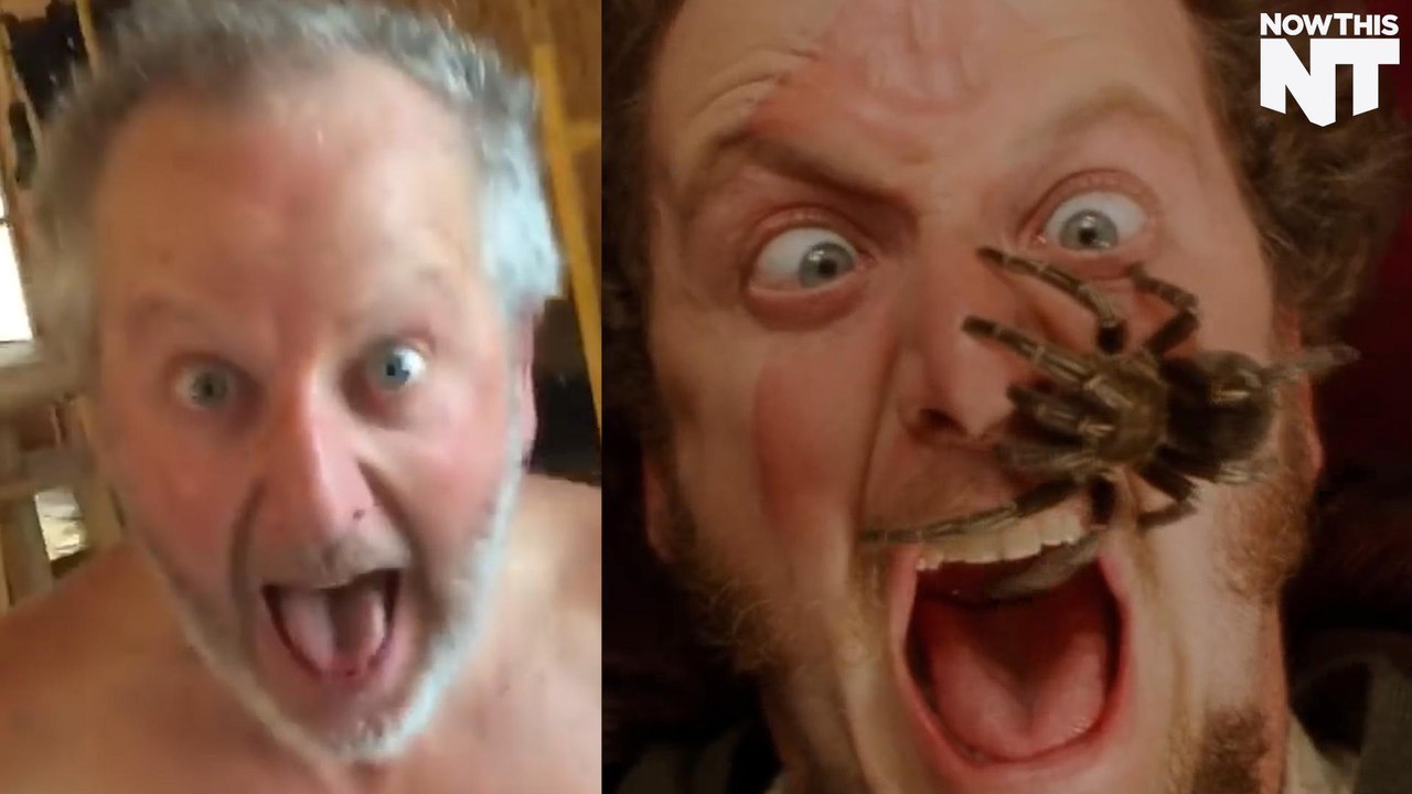 Daniel Stern is Bored