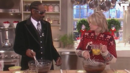 Snoop Dogg And Martha Stewart Are Getting Their Own Cooking Show