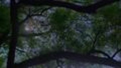 《小别离》曝预告 黄磊海清与TFBOYS讲述别“样”青春