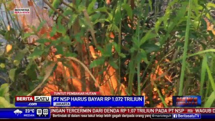 Tải video: PT NSP Pembakar Hutan Riau Dihukum Bayar Rp 1 Triliun Lebih