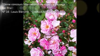 Palmarès du 109e concours international de roses de Bagatelle
