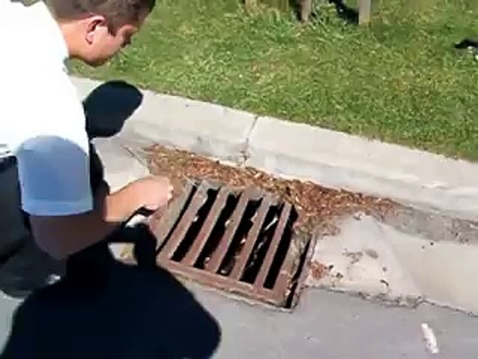 Mazgala düşen çirkin ördek yavruları