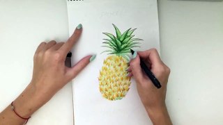 Pineapple - Speed painting