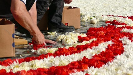 Le tapis de fleurs fête l'amitié belgo-japonaise