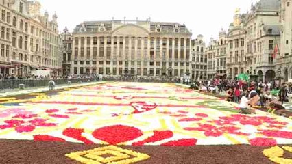 Japón protagoniza el vigésimo tapiz floral en la Grand Place de BruselasJapón protagoniza el vigésimo tapiz floral en la Grand Place de Bruselas