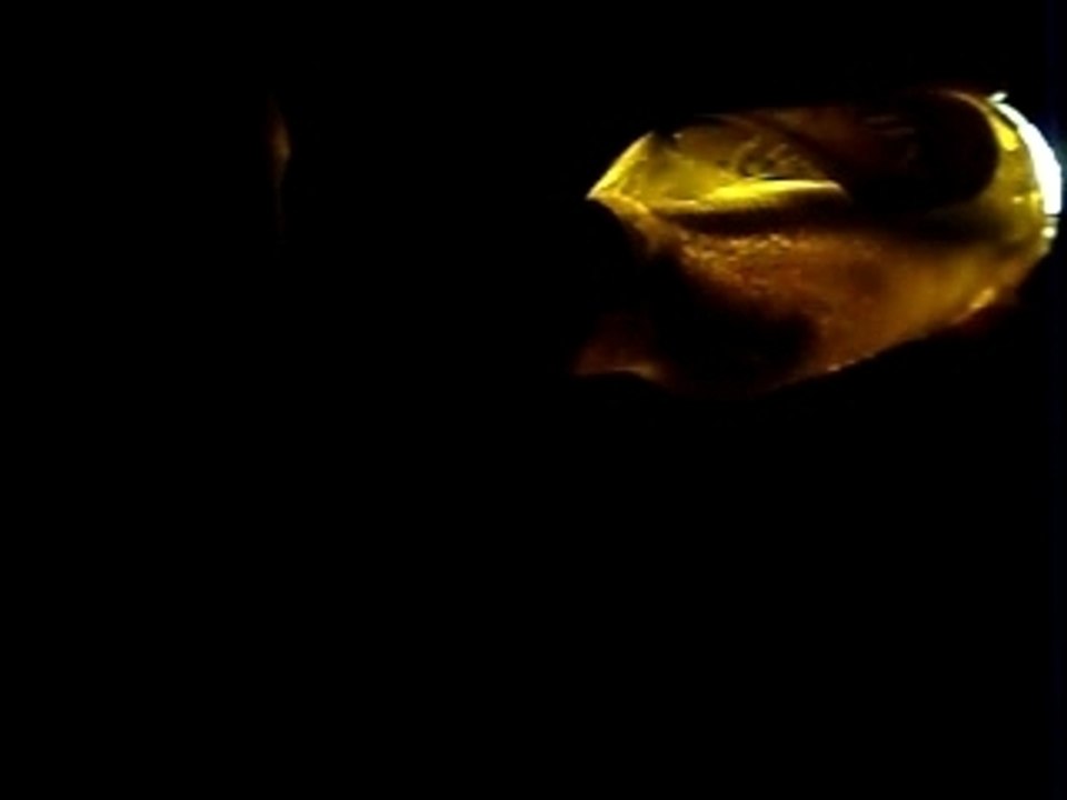 pub affligem à la faisandrie !