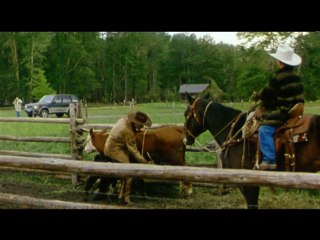 L&#039;Homme Qui Murmurait À L&#039;Oreille Des Chevaux VOST