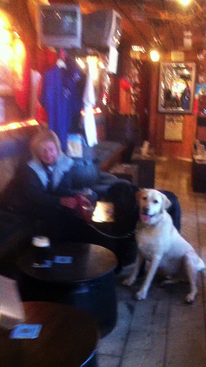 Beer for dogs