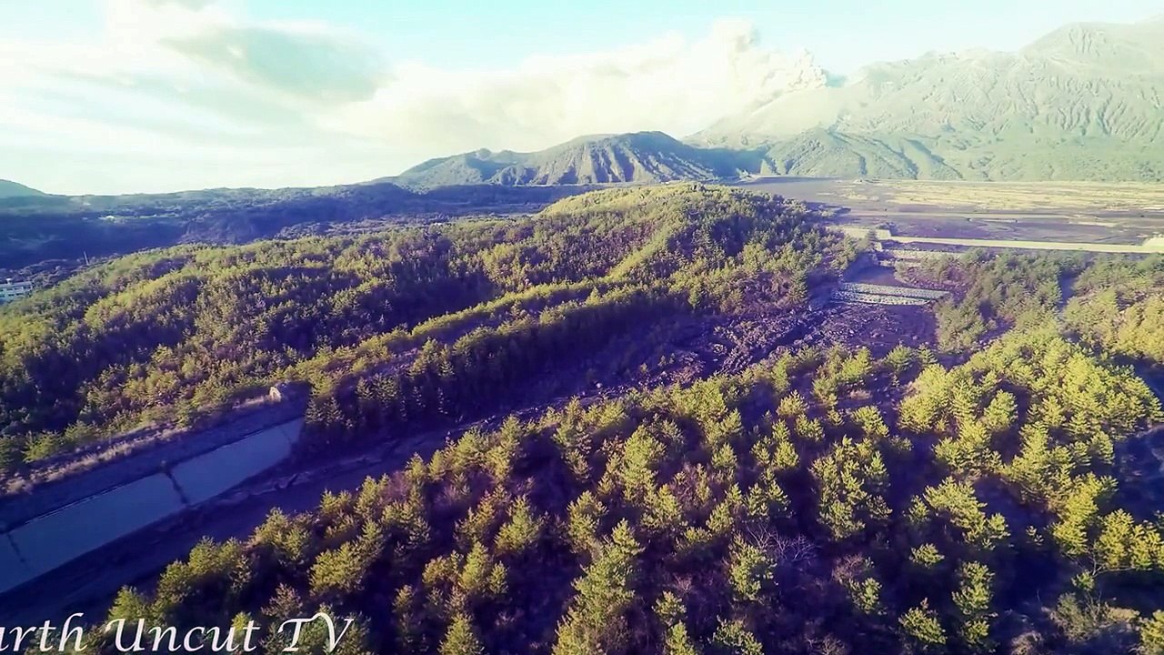 жизнь