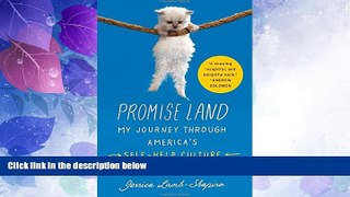 Big Deals  Promise Land: My Journey through America s Self-Help Culture  Best Seller Books Best