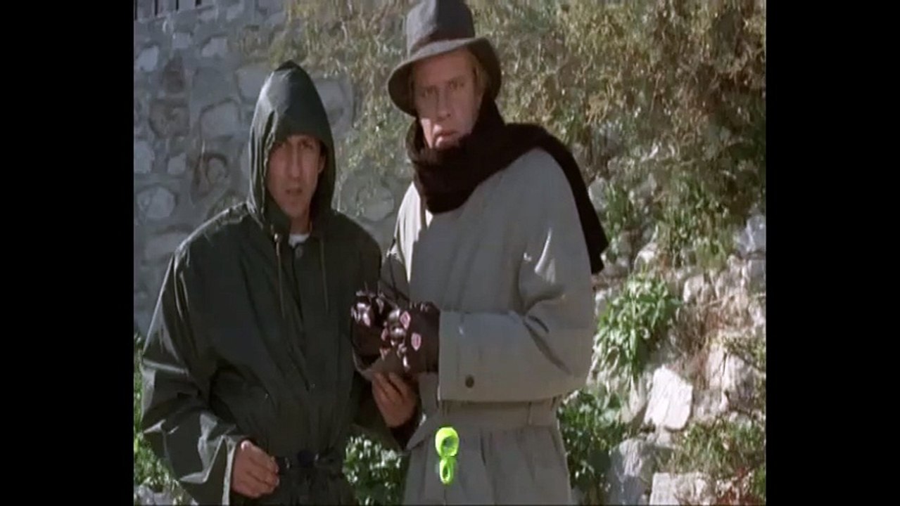 Hercule & Sherlock