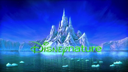 Félins, le Royaume du courage VF