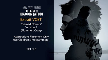 Millenium : Les Hommes qui n&#039;aimaient pas les femmes VOST - Ext