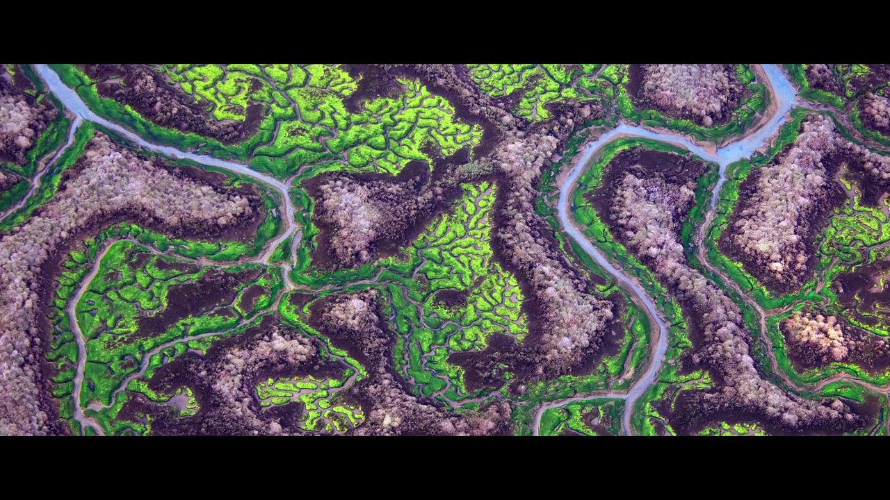 La Isla Mínima - VOST