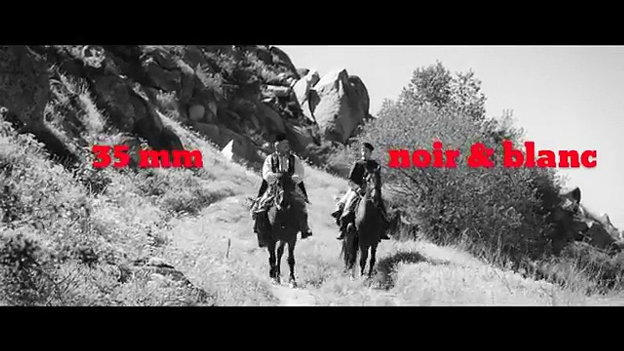 Aferim ! - VOST