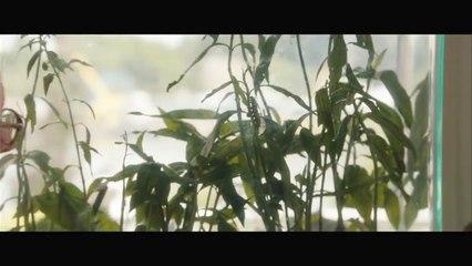 And So It Goes... - Extrait (4) VO