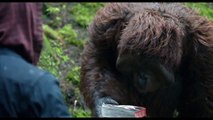 La Planète des Singes : l'Affrontement - Extrait VF