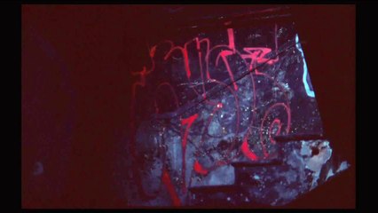 Mercuriales - Extrait (3)