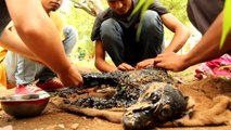 Covered in tar & unable to move, this amazing rescue saved this dog s life!