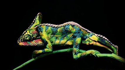 Chameleon impressive creation Fine Art Bodypainting by Johannes Stötter