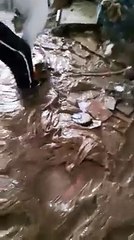 Hasanbegu kerkon ndihme urgjente