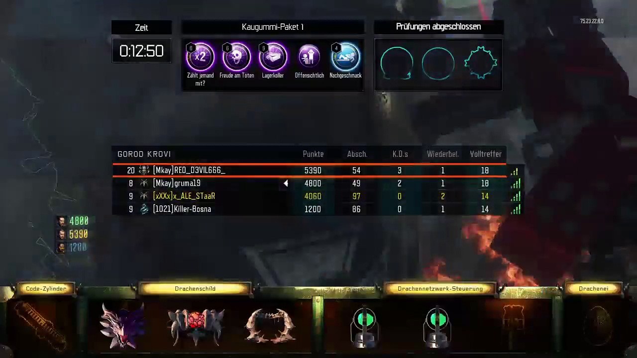 Black ops zombie Bro's (29)