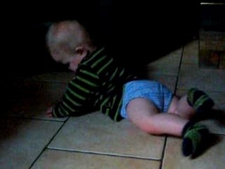 27-07-2007 Rémy qui est à 4 pattes!