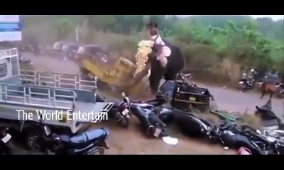 Top 20 Shocking Viral Videos 2016 Worldwide