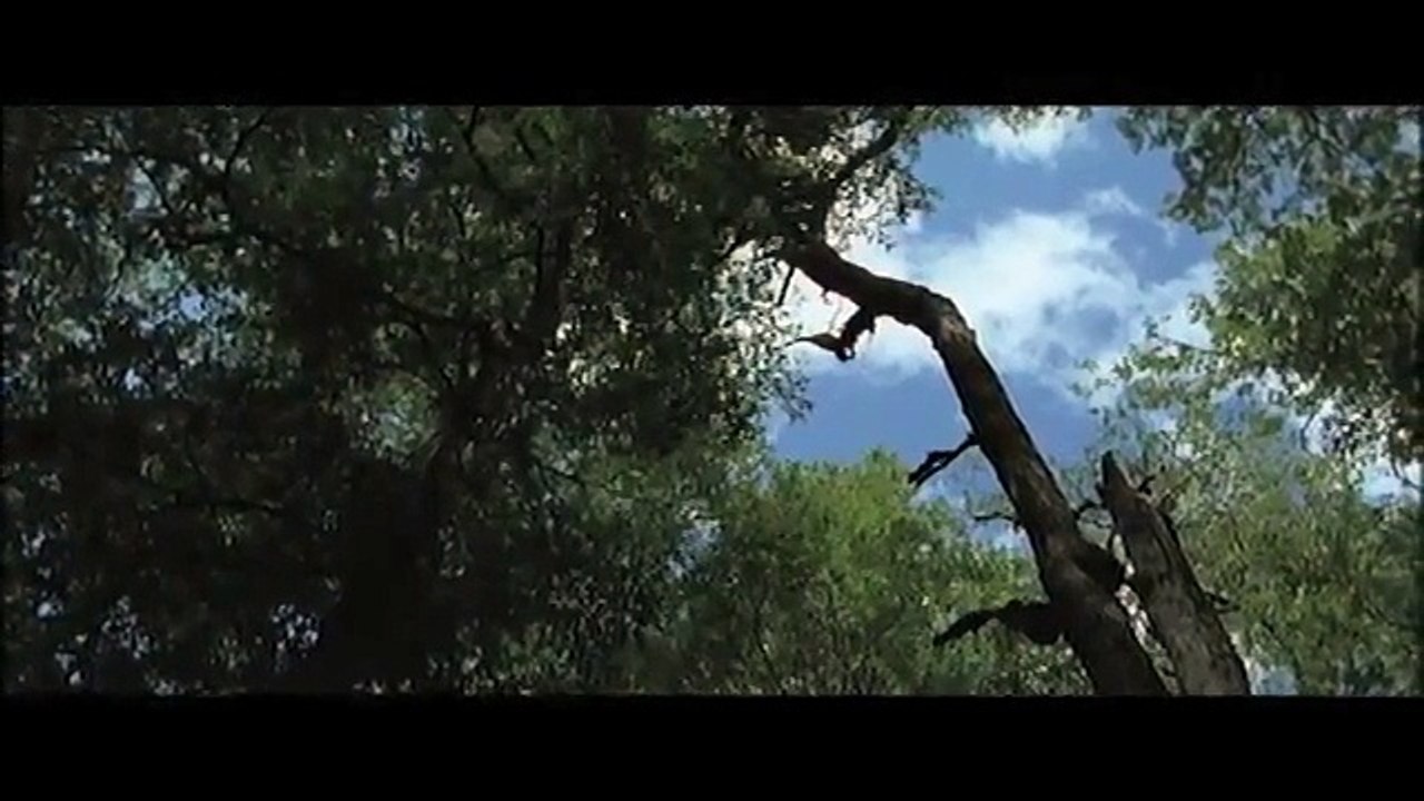 El puesto - VOST