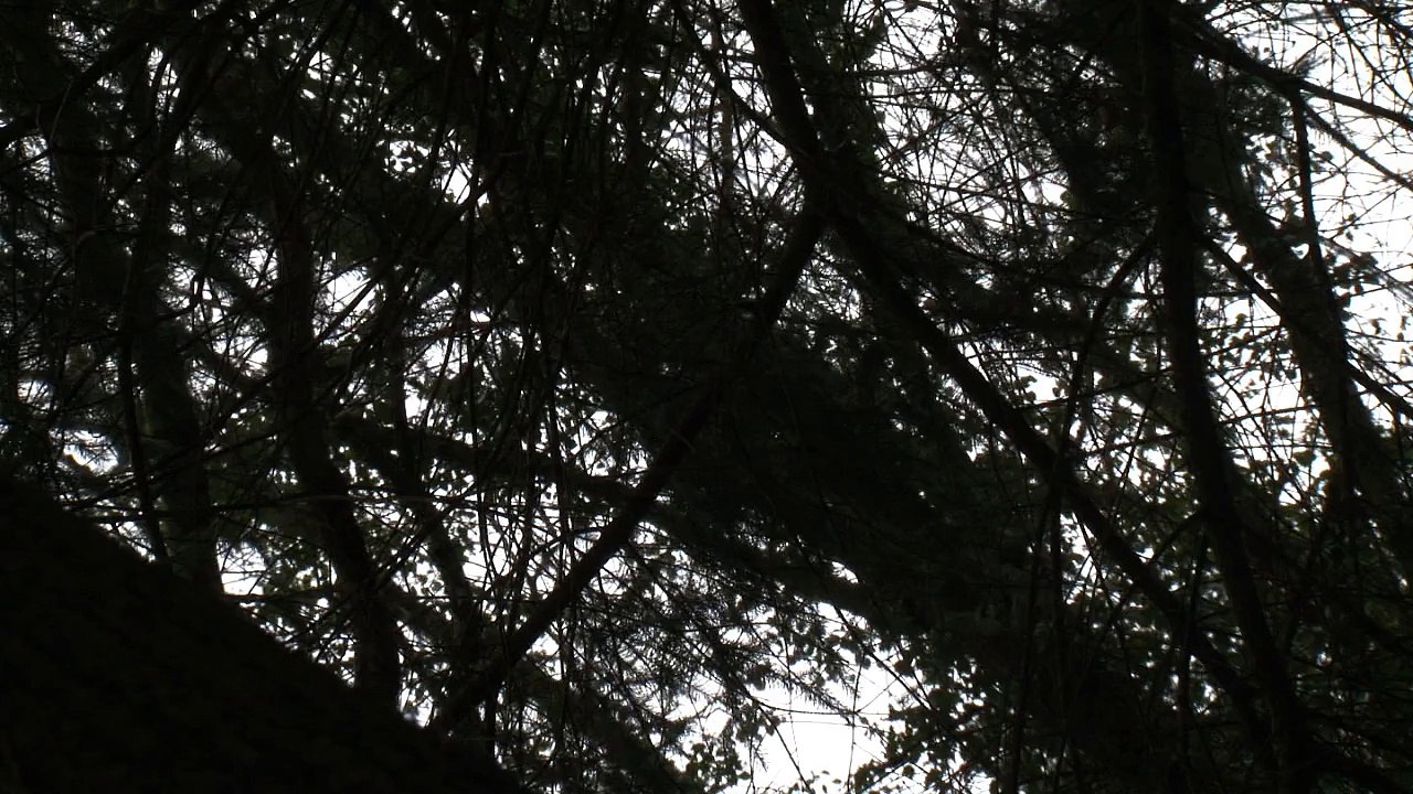 Le Dernier Continent - Extrait