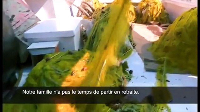 Khaos ou les visages humains de la crise grecque - VF