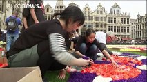 Turning Japanese: Brussels goes bonkers for begonias