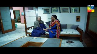 Udaari Episode 17 Full HD Hum TV Drama 31 July 2016