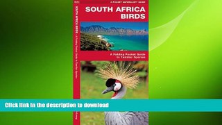 GET PDF  South Africa Birds (A Pocket Naturalist Guide)  PDF ONLINE