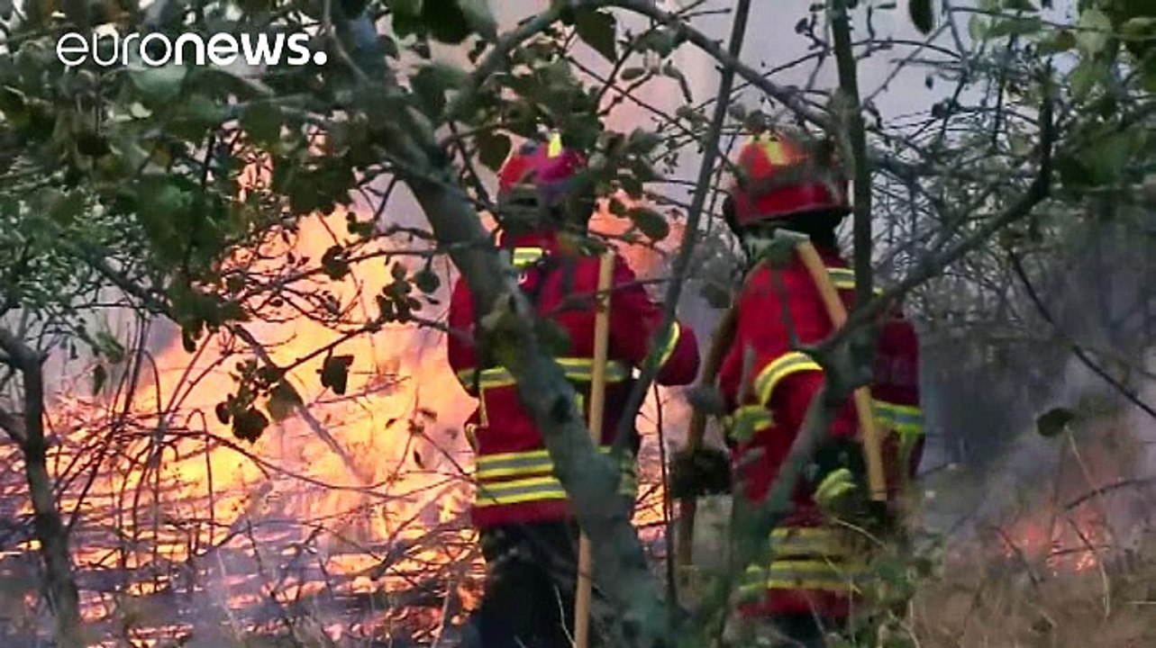 Португалия: огонь под контролем на Мадейре, но бушует на севере страны