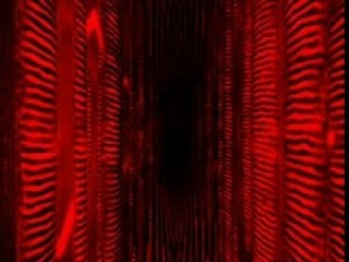 Power Battle Circle 2003