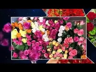 Fericire Si Speranță _ Facebook (31)