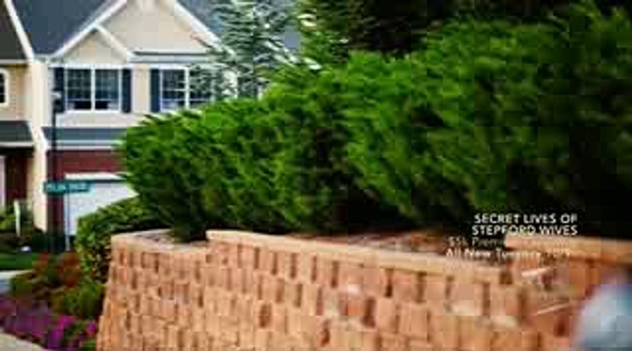 Stalked ~ Off The Rails