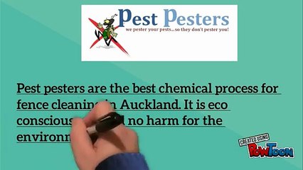Offering Best Pest Control Service in Auckland