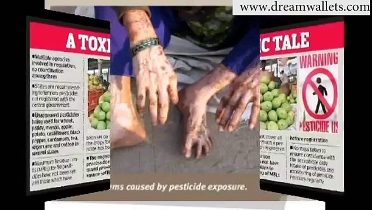 KUDUMBASHREE- ORGANIC FARMING